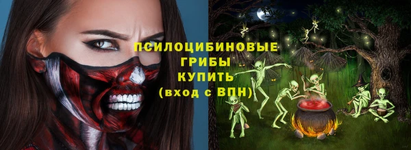 ПСИЛОЦИБИНОВЫЕ ГРИБЫ Навашино